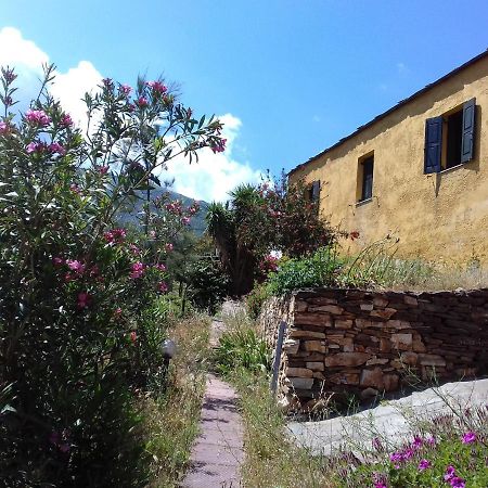 Ikarian Centre - Accommodation & Mountain Hiking Евдилос Екстериор снимка