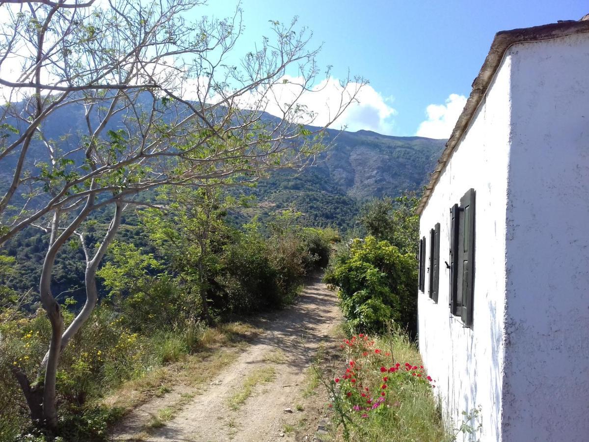 Ikarian Centre - Accommodation & Mountain Hiking Евдилос Екстериор снимка