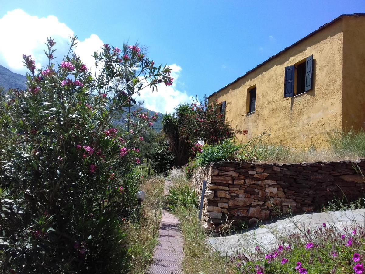Ikarian Centre - Accommodation & Mountain Hiking Евдилос Екстериор снимка