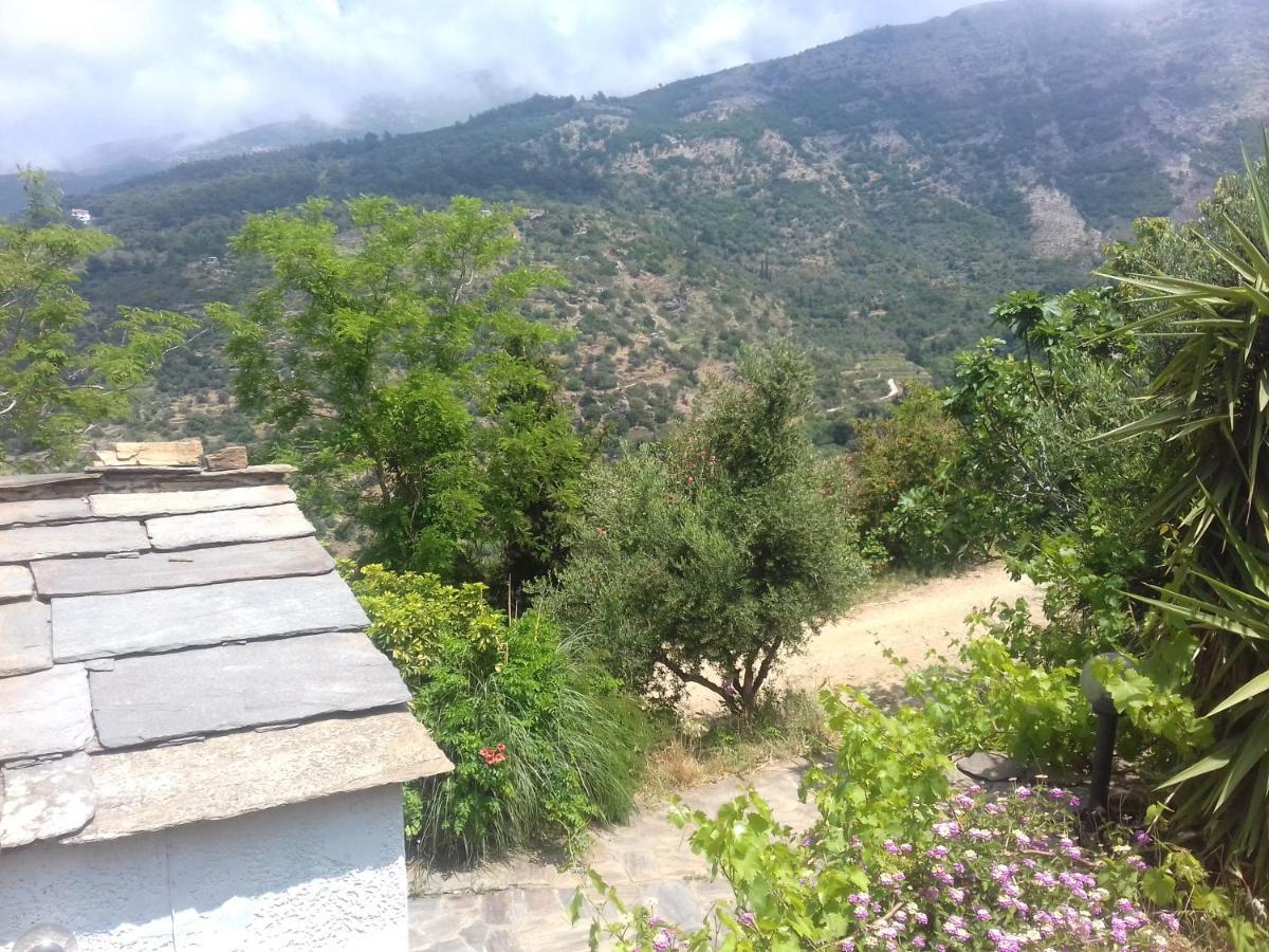 Ikarian Centre - Accommodation & Mountain Hiking Евдилос Екстериор снимка