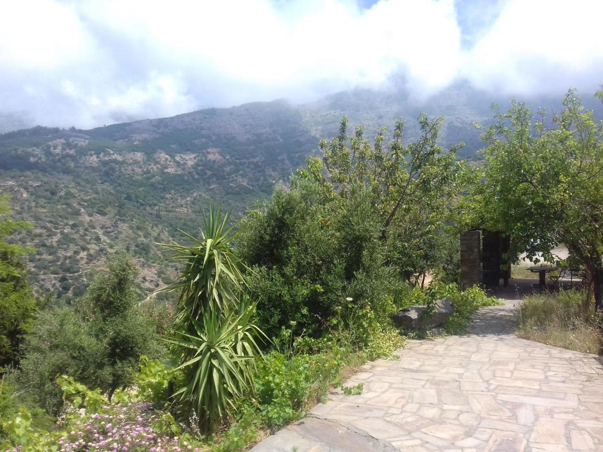 Ikarian Centre - Accommodation & Mountain Hiking Евдилос Екстериор снимка